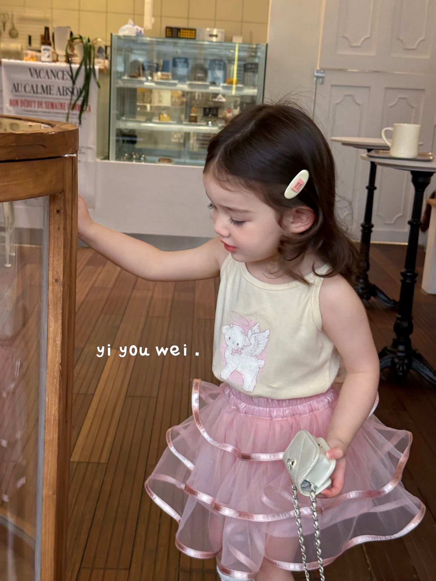 Puffy Tulle Skirt with Bow